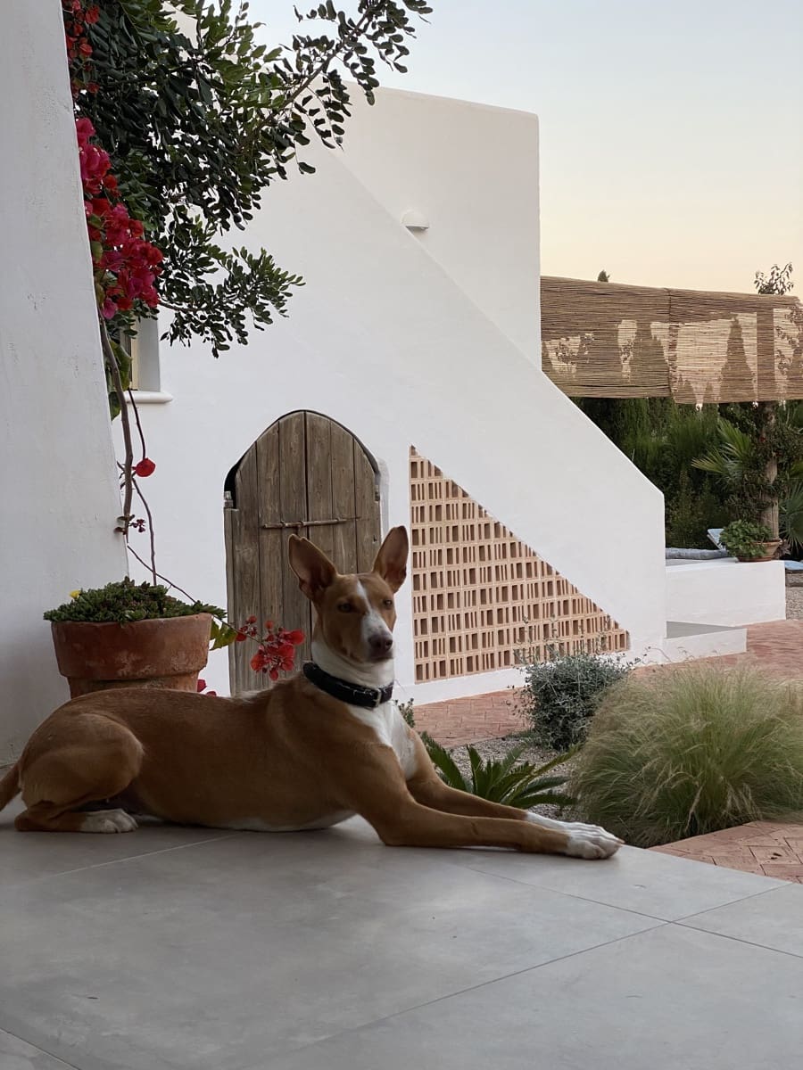 Casa de 5 habitaciones en Javea / Xàbia en venta con piscina garaje - 1.350.000 € (Ref: 9301316)