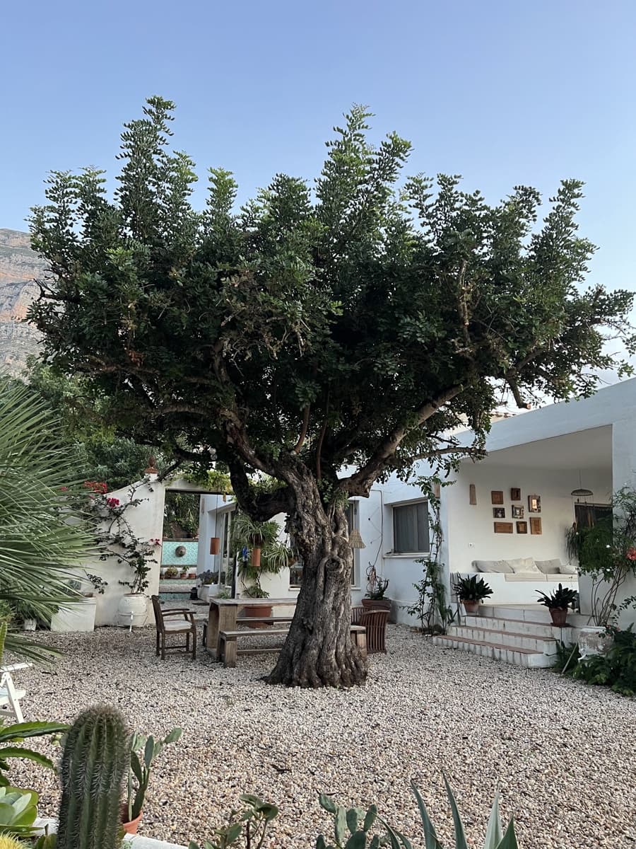 Casa de 5 habitaciones en Javea / Xàbia en venta con piscina garaje - 1.350.000 € (Ref: 9301316)