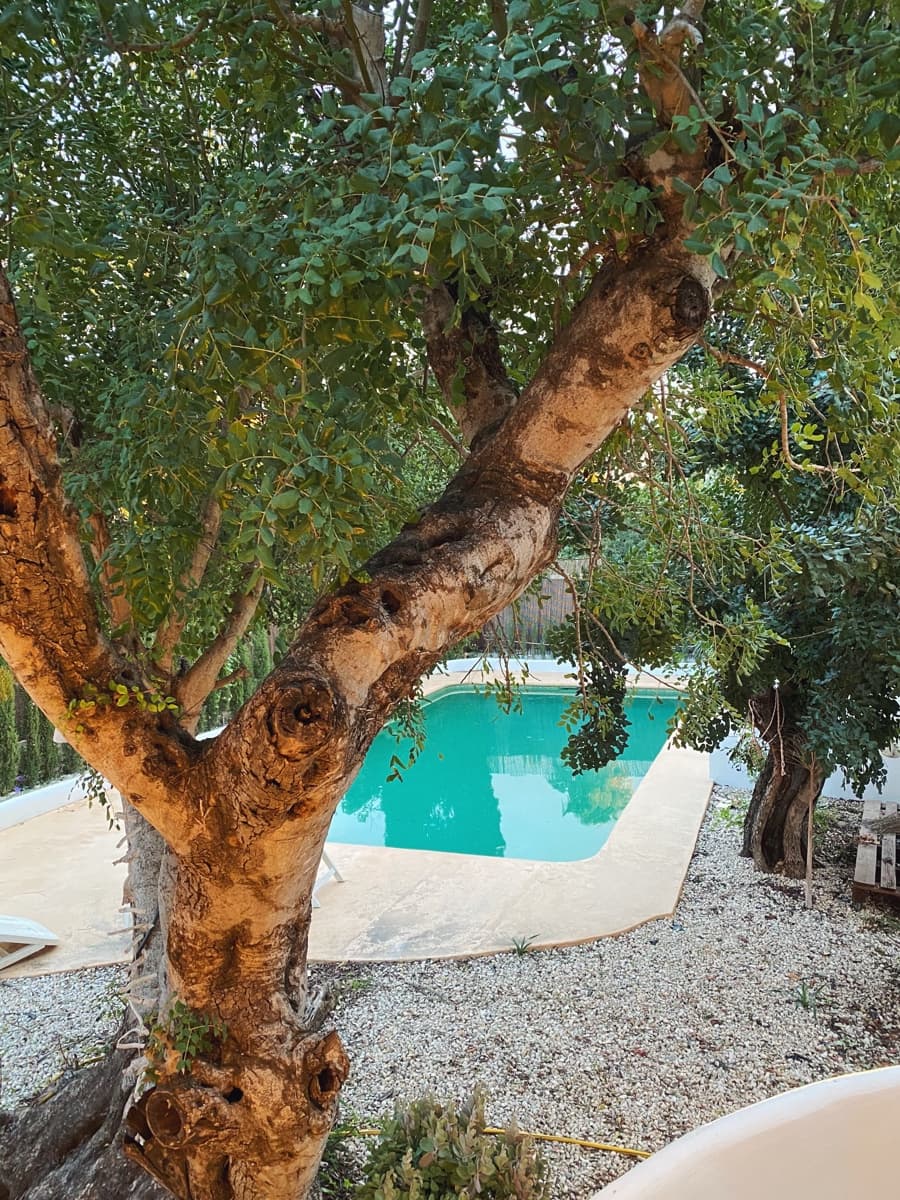 Casa de 5 habitaciones en Javea / Xàbia en venta con piscina garaje - 1.350.000 € (Ref: 9301316)