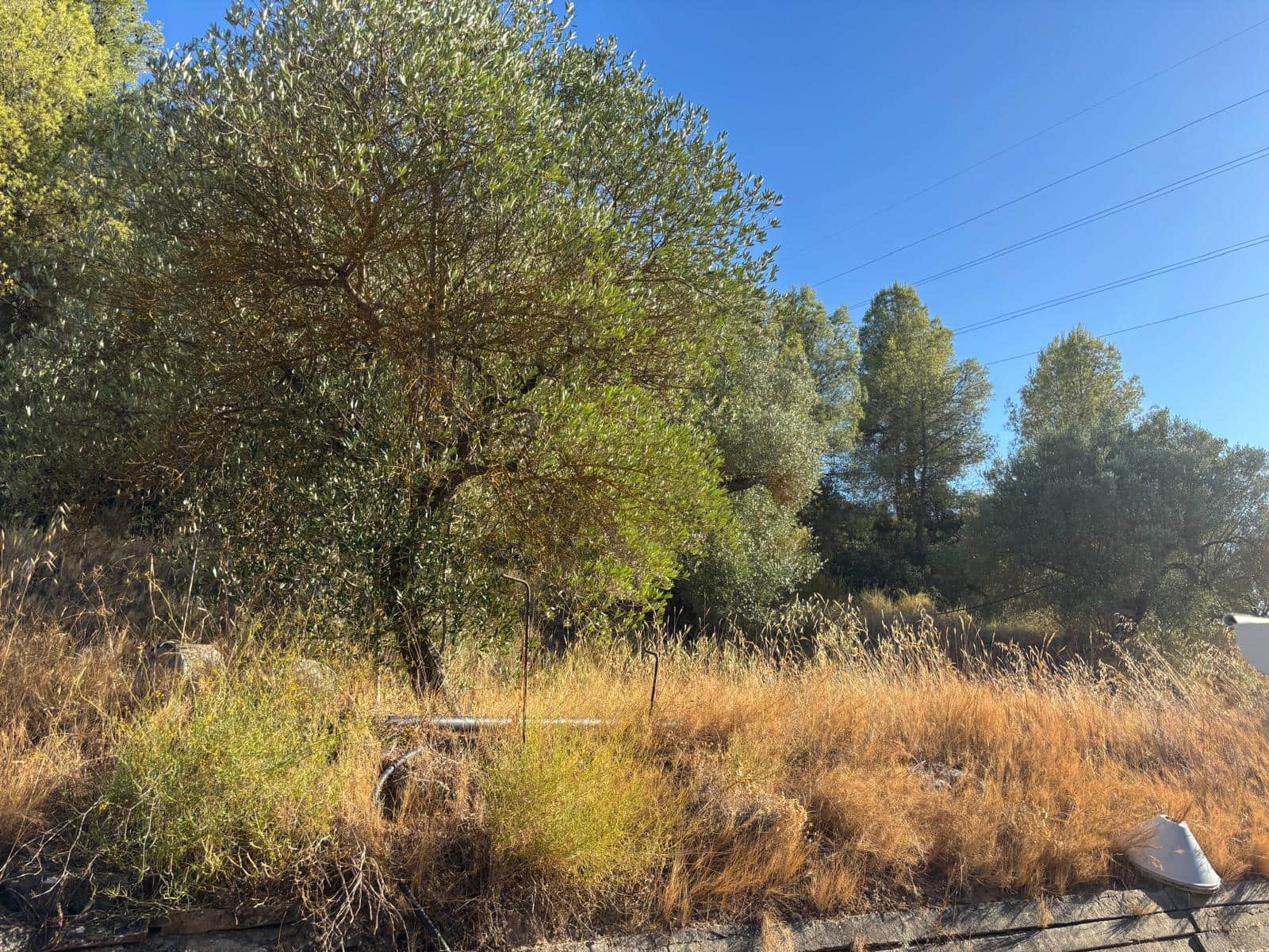 Finca/Casa Rural de 1 habitación en Flix en venta con piscina garaje - 87.000 € (Ref: 10074778)