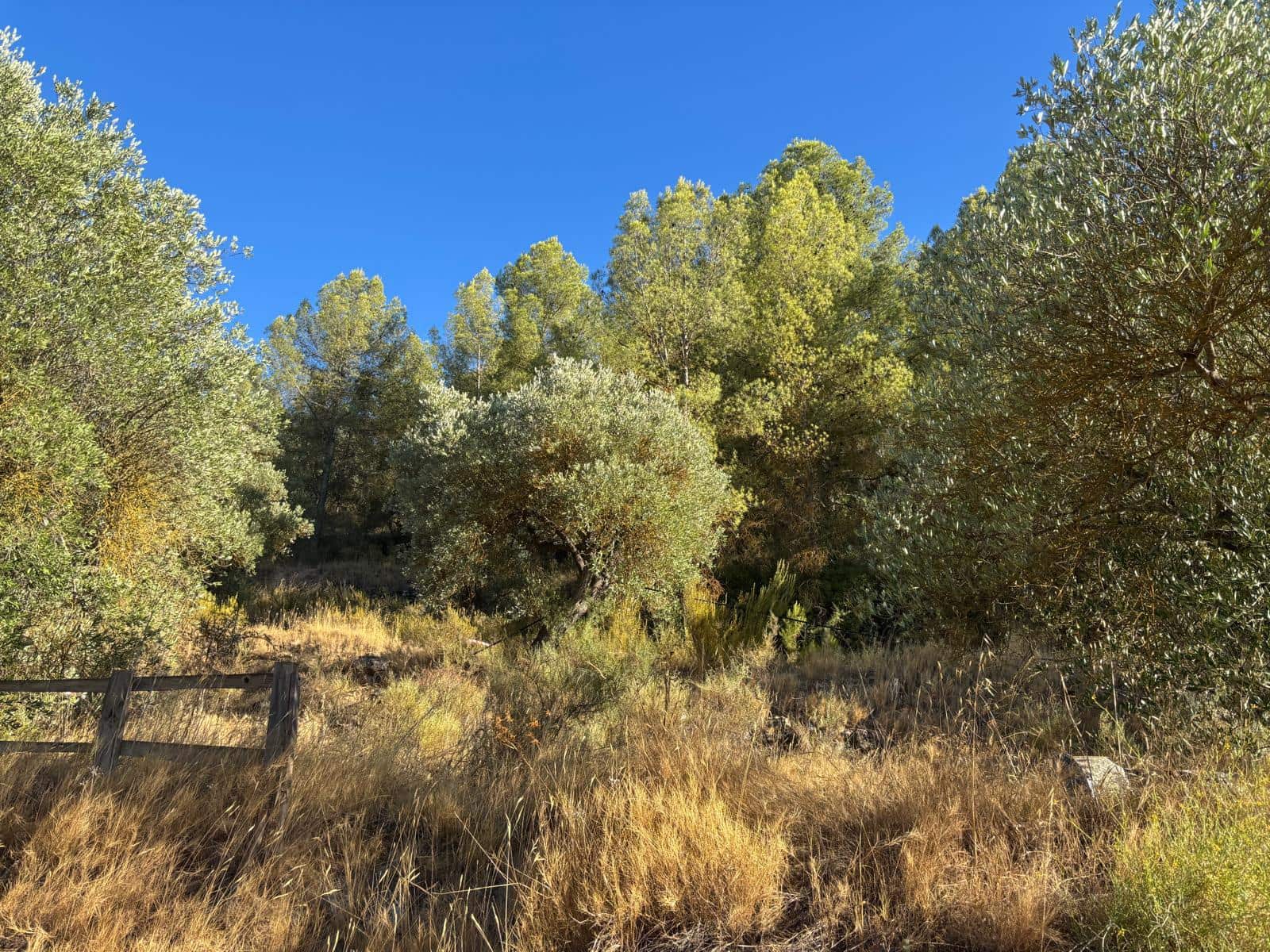 Finca/Casa Rural de 1 habitación en Flix en venta con piscina garaje - 87.000 € (Ref: 10074778)
