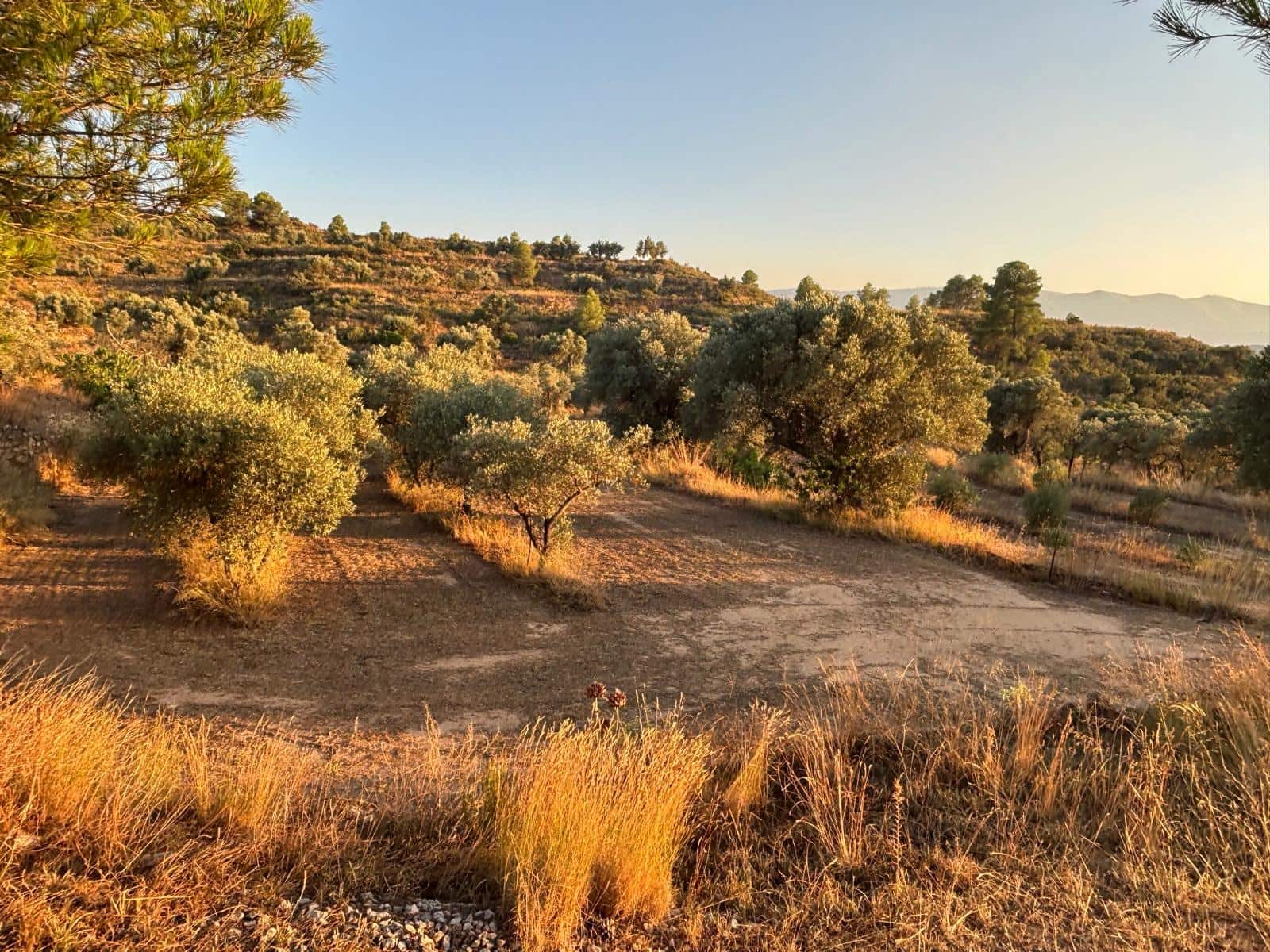 Finca/Country House for sale in Riba-roja d'Ebre - € 27,000 (Ref: 9316976)