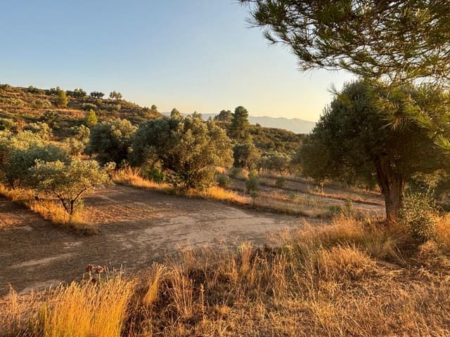 Quinta/Casa Rural para venda em Riba-roja d'Ebre - 27 000 € (Ref: 9316976)