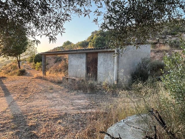 Quinta/Casa Rural para venda em Riba-roja d'Ebre - 27 000 € (Ref: 9316976)