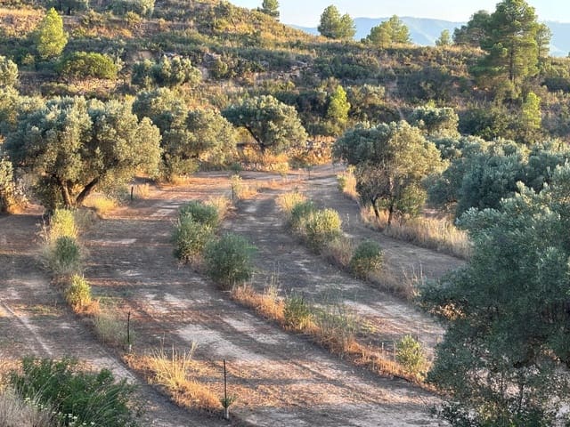 Quinta/Casa Rural para venda em Riba-roja d'Ebre - 27 000 € (Ref: 9316976)