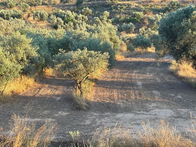 Quinta/Casa Rural para venda em Riba-roja d'Ebre - 27 000 € (Ref: 9316976)