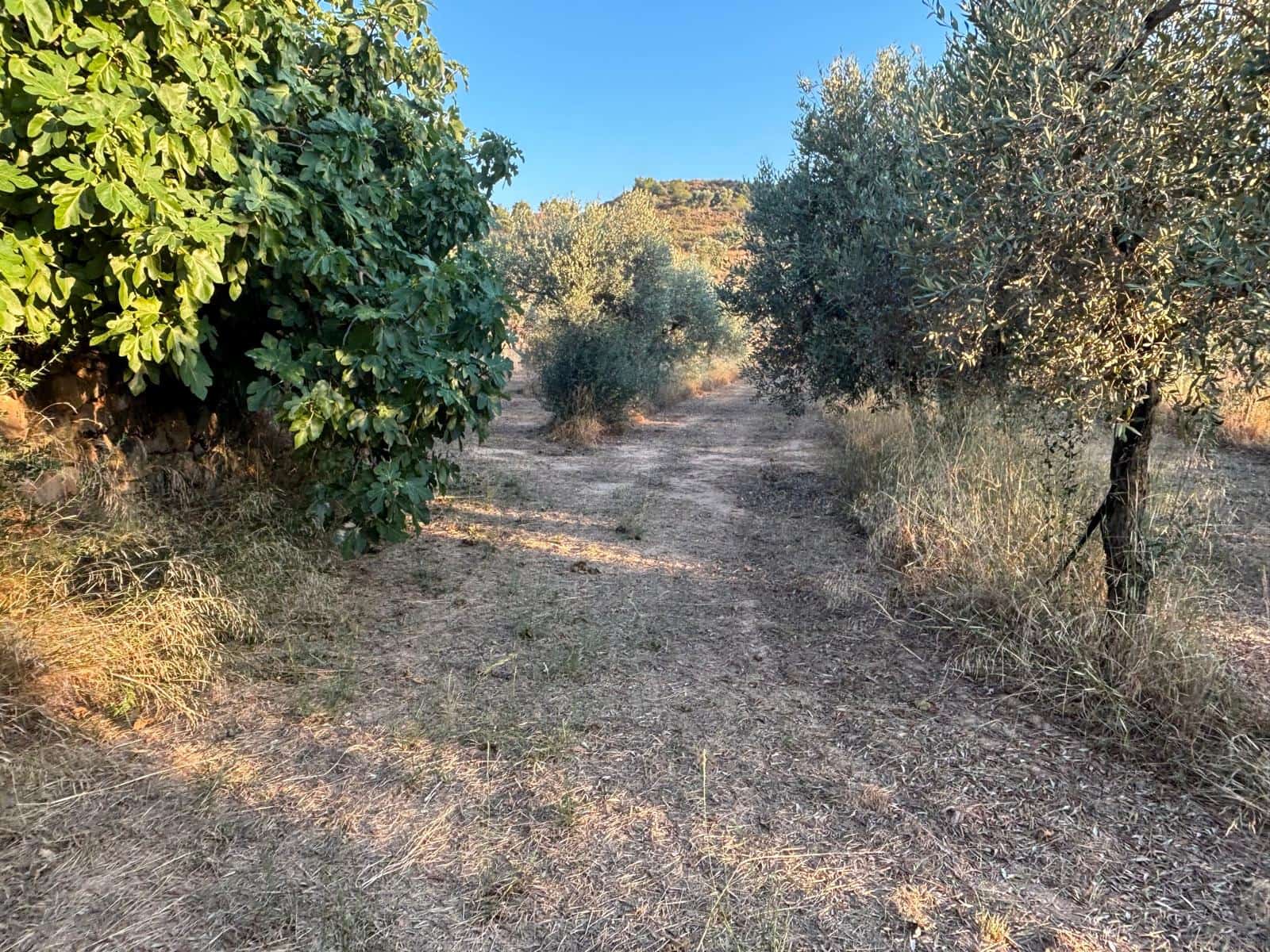 Finca/Country House for sale in Riba-roja d'Ebre - € 27,000 (Ref: 9316976)