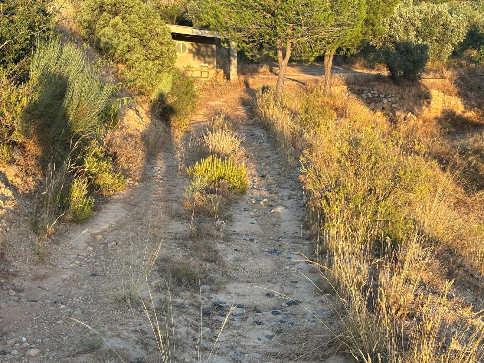 Finca/Country House for sale in Riba-roja d'Ebre - € 27,000 (Ref: 9316976)