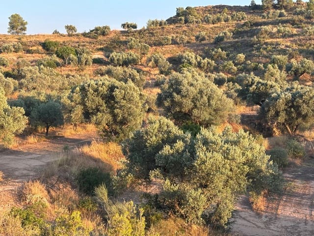 Quinta/Casa Rural para venda em Riba-roja d'Ebre - 27 000 € (Ref: 9316976)