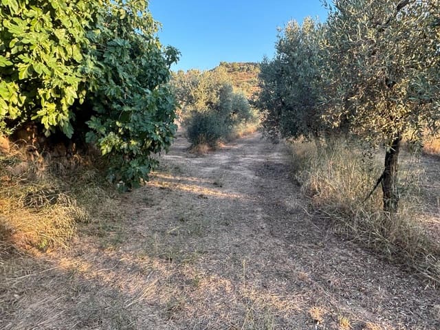 Quinta/Casa Rural para venda em Riba-roja d'Ebre - 27 000 € (Ref: 9316976)