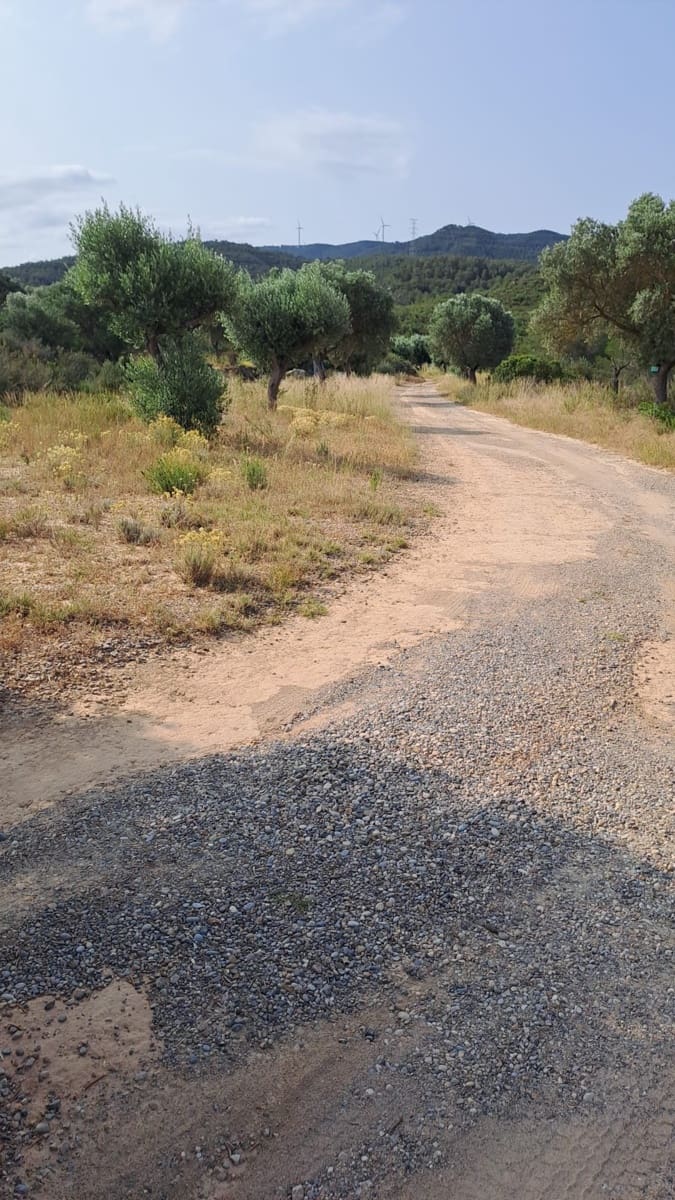 4 bedroom Finca/Country House for sale in Riba-roja d'Ebre - € 335,000 (Ref: 9549912)