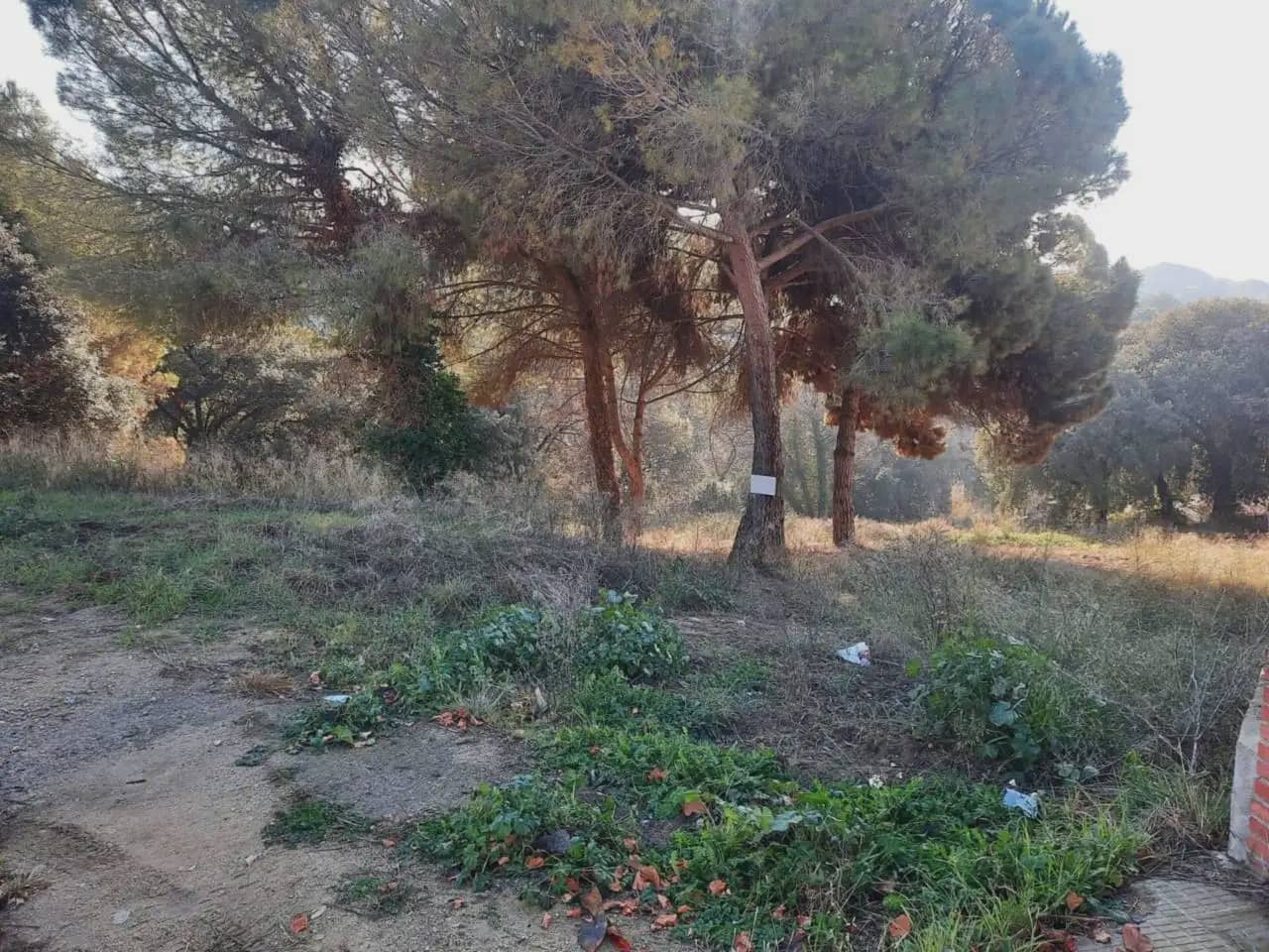 Building Plot for sale in Llica d'Amunt - € 159,000 (Ref: 9938526)