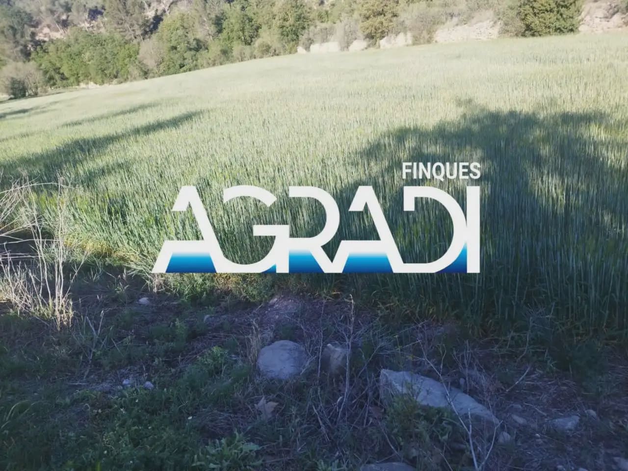 Undeveloped Land for sale in Copons - € 180,000 (Ref: 9938532)
