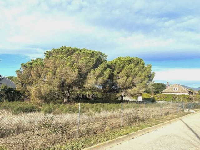 Solar/Parcela en Sant Pere de Vilamajor en venta - 135.000 € (Ref: 9938537)