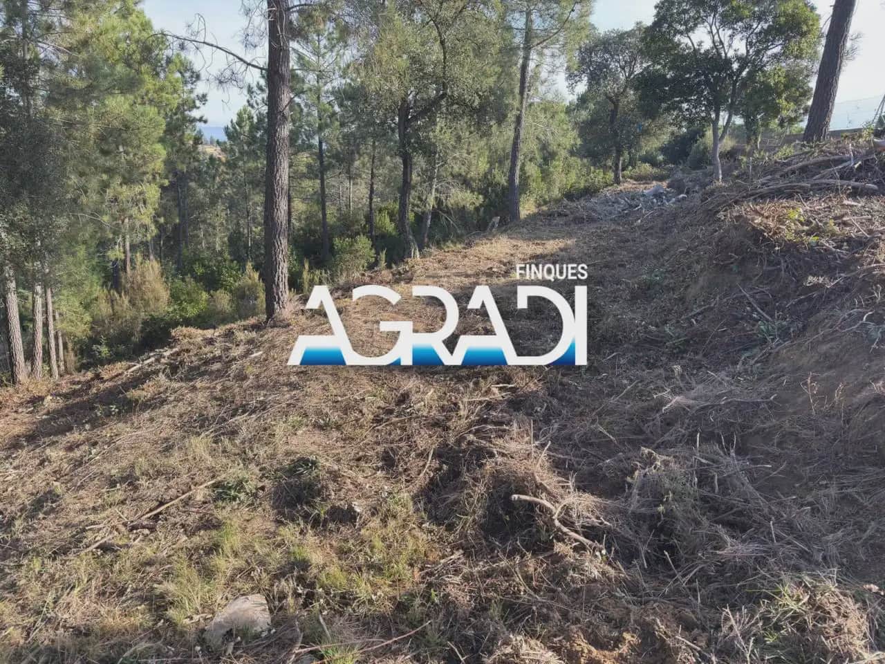 Building Plot for sale in Riudarenes - € 17,000 (Ref: 9938544)