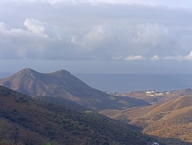 10 soverom Finca/Herregård til salgs i Altos de Jaboneros, Málaga by - € 177 000 (Ref: 9292279)