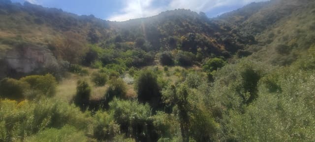 Finca/Casa Rural en Centro Historico, Málaga ciudad en venta - 178.000 € (Ref: 9624117)