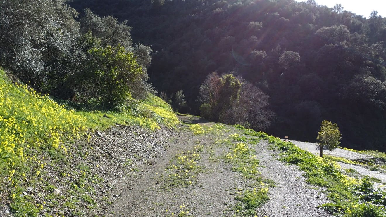 Finca/Casa Rural en Málaga ciudad en venta - 178.000 € (Ref: 9624117)