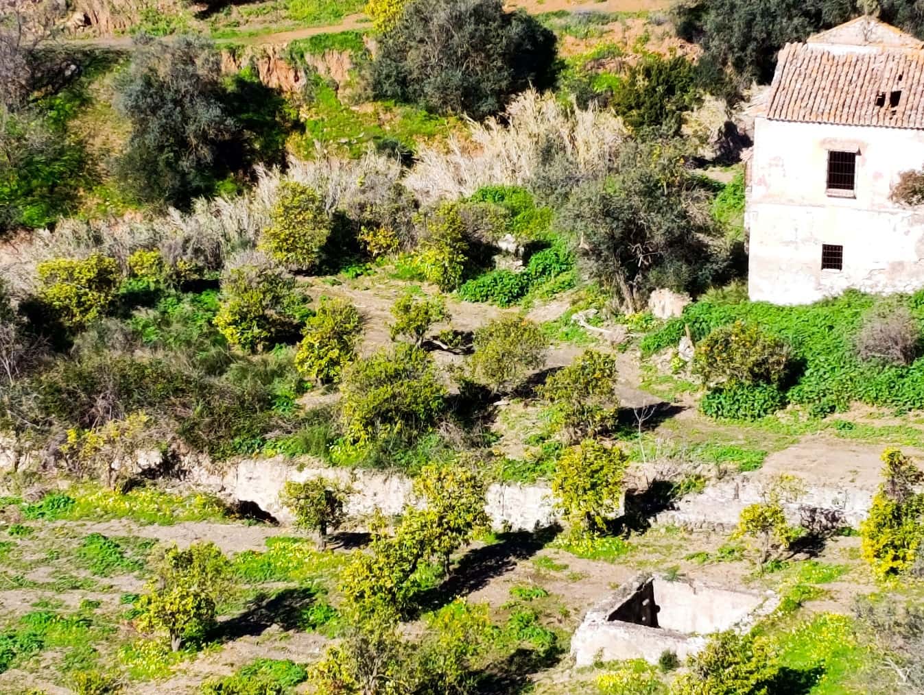 Finca/Casa Rural en Málaga ciudad en venta - 178.000 € (Ref: 9624117)