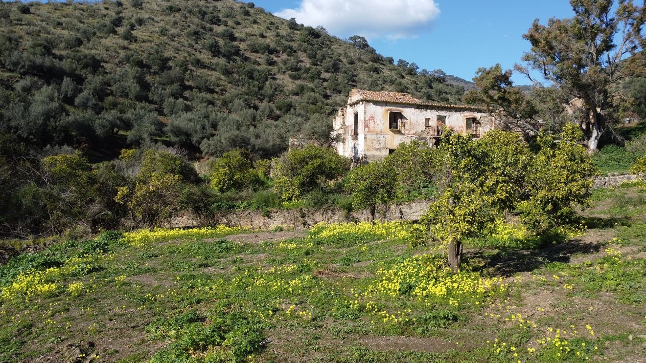 Finca/Casa Rural en Málaga ciudad en venta - 178.000 € (Ref: 9624117)