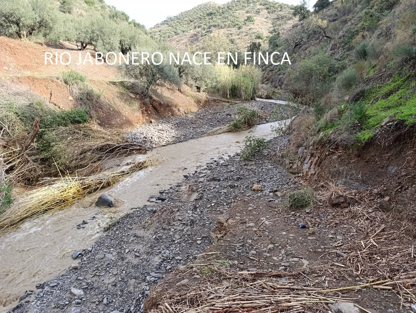 Finca/Casa Rural en Málaga ciudad en venta - 178.000 € (Ref: 9624117)