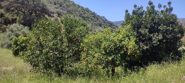 Finca/Casa Rural en Centro Historico, Málaga ciudad en venta - 178.000 € (Ref: 9624117)