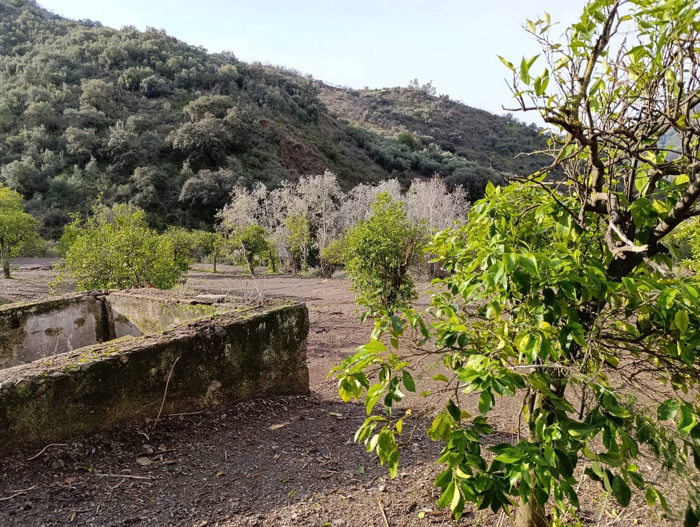 Finca/Casa Rural en Málaga ciudad en venta - 178.000 € (Ref: 9624117)