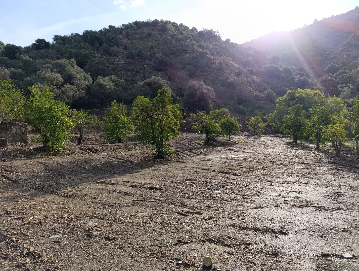 Finca/Casa Rural en Málaga ciudad en venta - 178.000 € (Ref: 9624117)