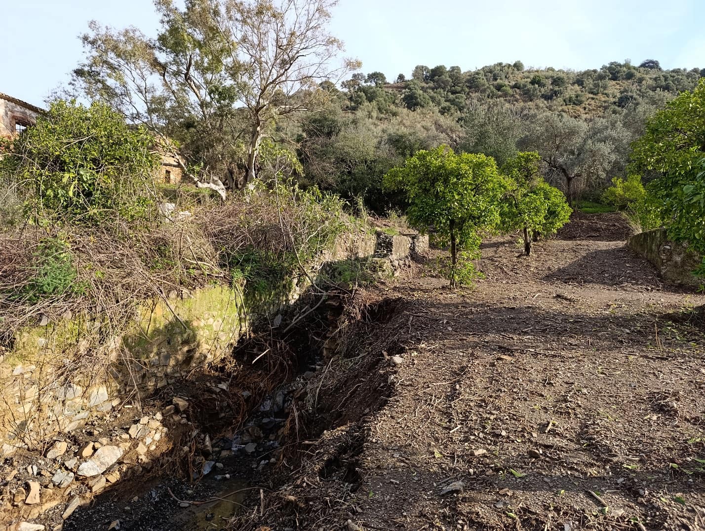 Finca/Casa Rural en Málaga ciudad en venta - 178.000 € (Ref: 9624117)