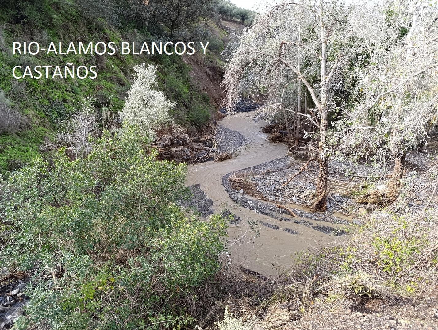 Finca/Casa Rural en Málaga ciudad en venta - 178.000 € (Ref: 9624117)