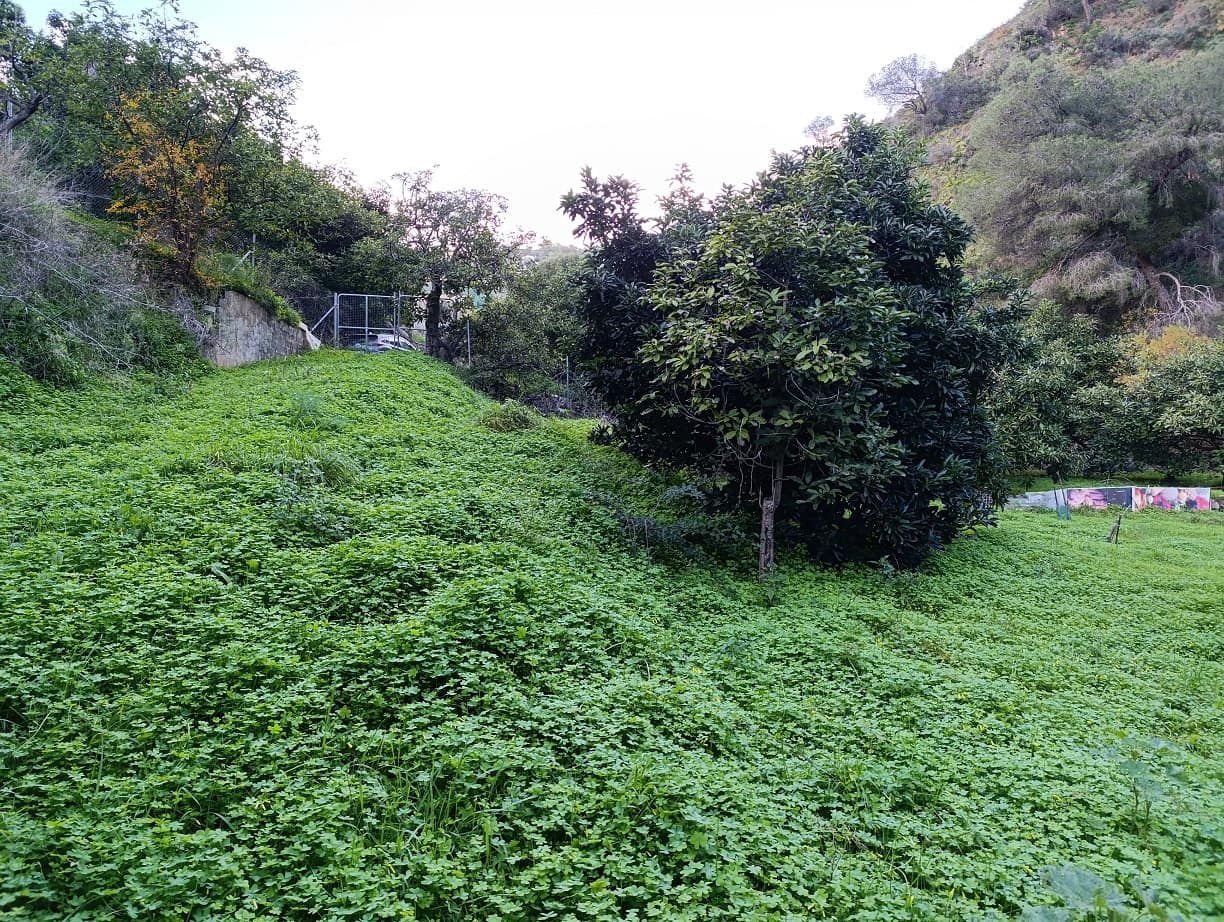 Undeveloped Land for sale in Nerja - € 95,000 (Ref: 9713198)