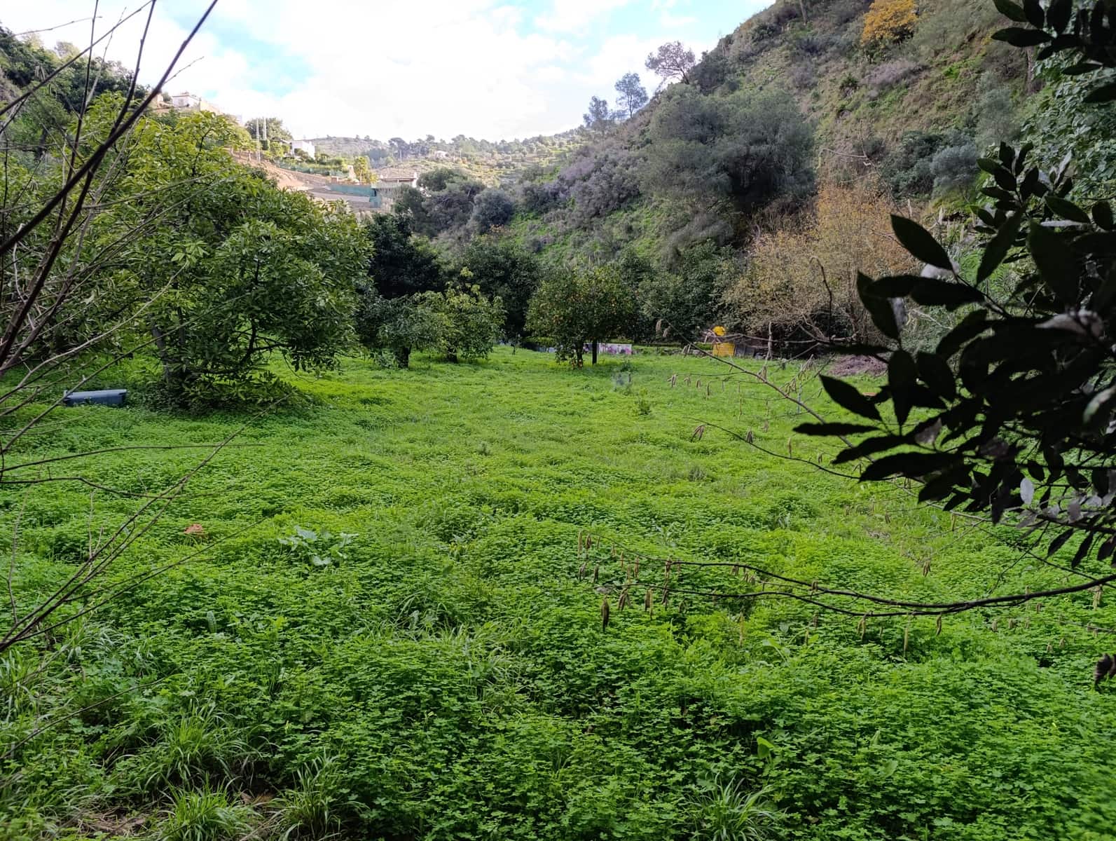 Undeveloped Land for sale in Nerja - € 95,000 (Ref: 9713198)