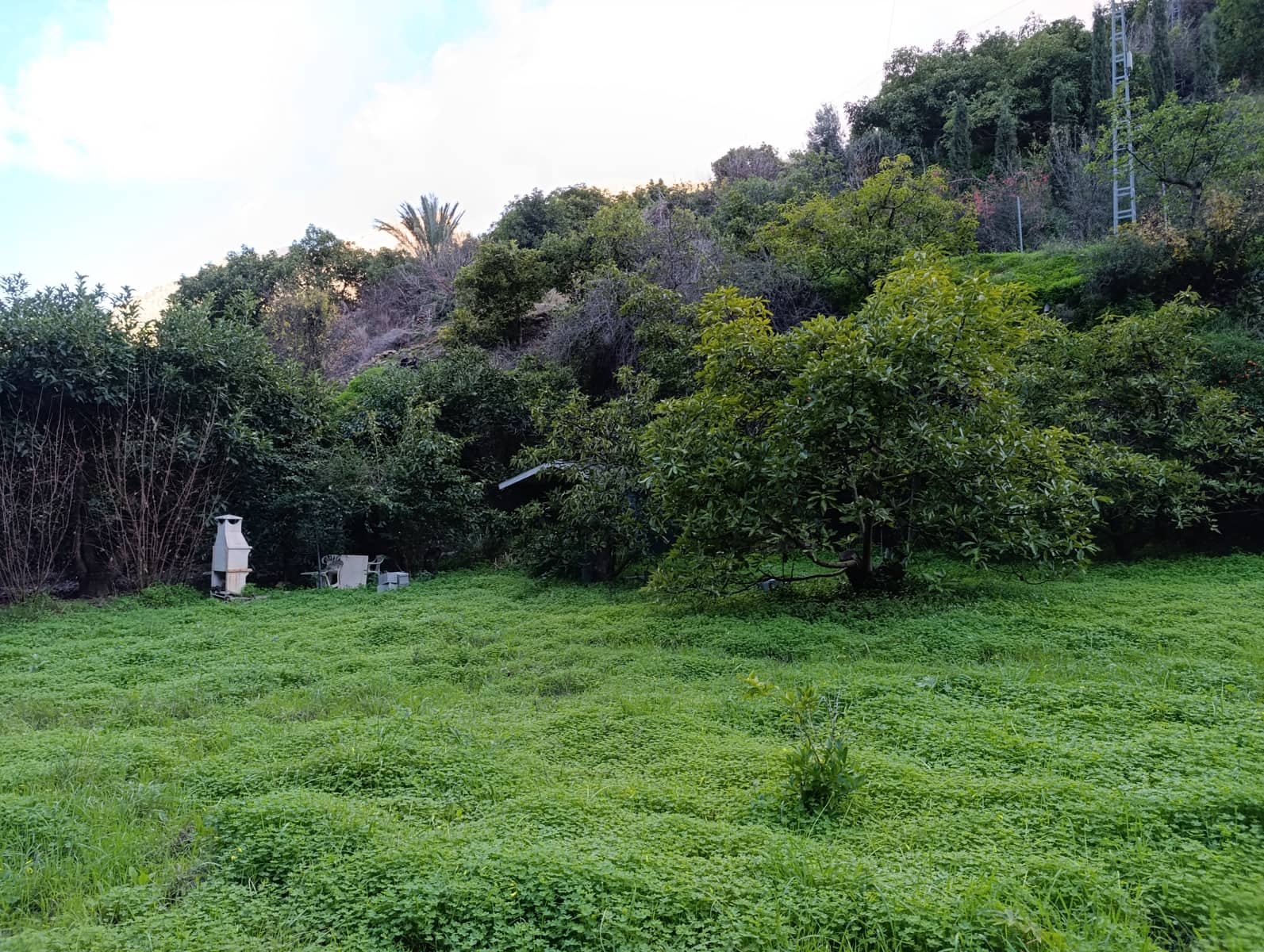 Undeveloped Land for sale in Nerja - € 95,000 (Ref: 9713198)
