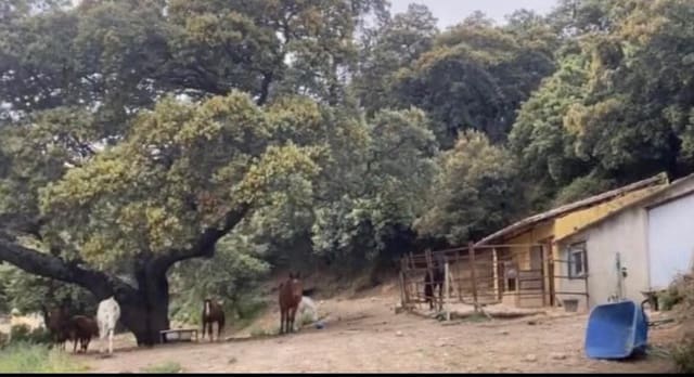 8 sypialnia Finka/Dom wiejski na sprzedaż w Ronda - 850 000 € (Ref: 9417360)