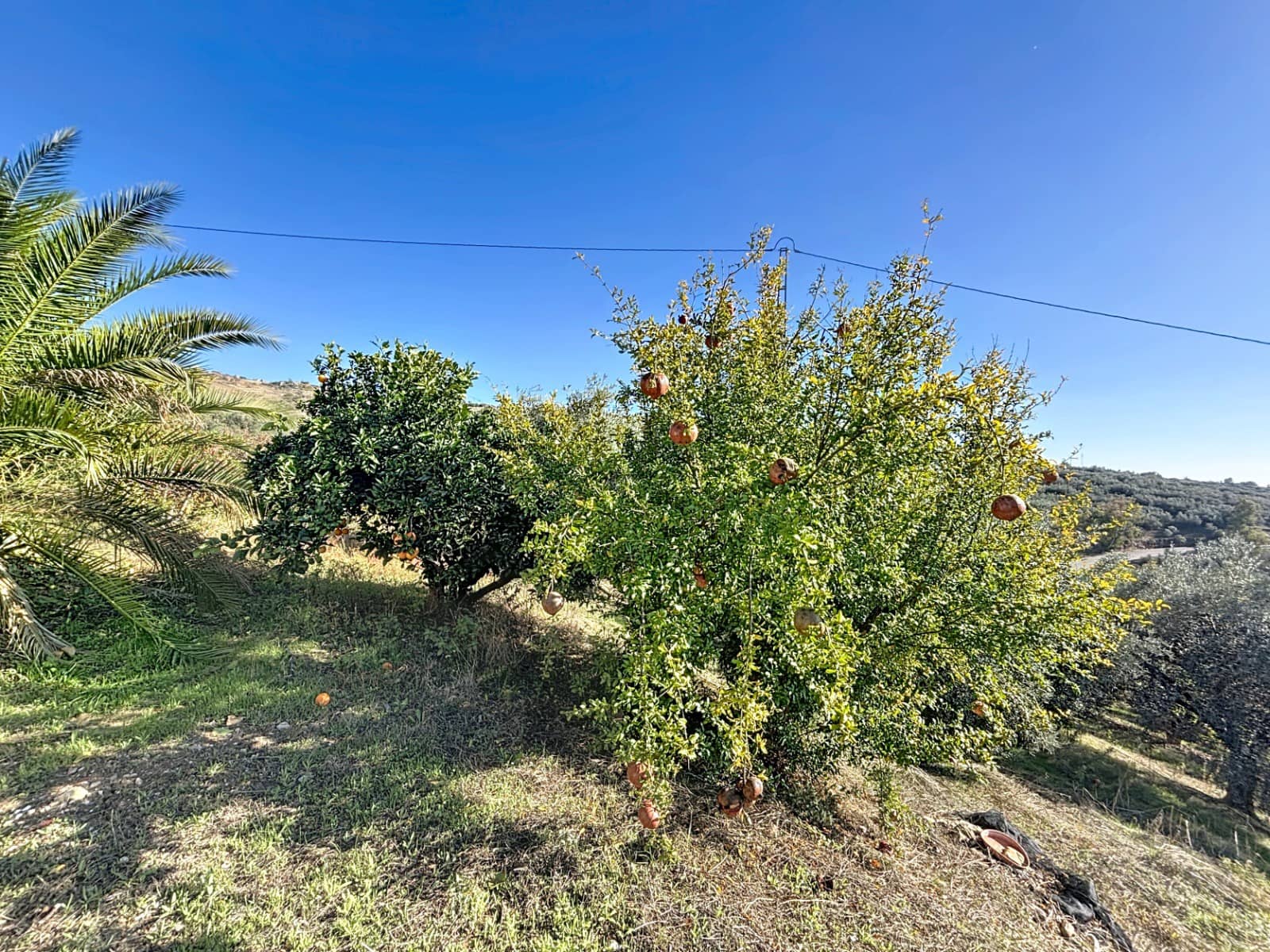 5 bedroom Finca/Country House for sale in Periana - € 650,000 (Ref: 9417361)