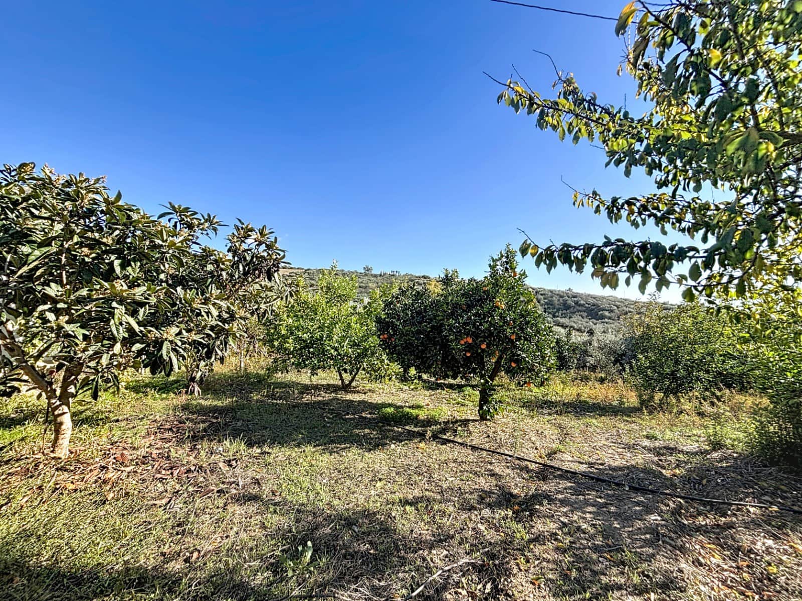 5 bedroom Finca/Country House for sale in Periana - € 650,000 (Ref: 9417361)