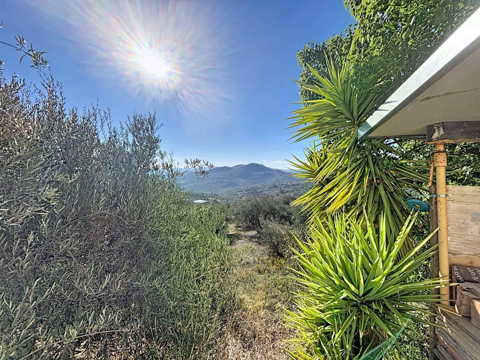 5 bedroom Finca/Country House for sale in Periana - € 650,000 (Ref: 9417361)