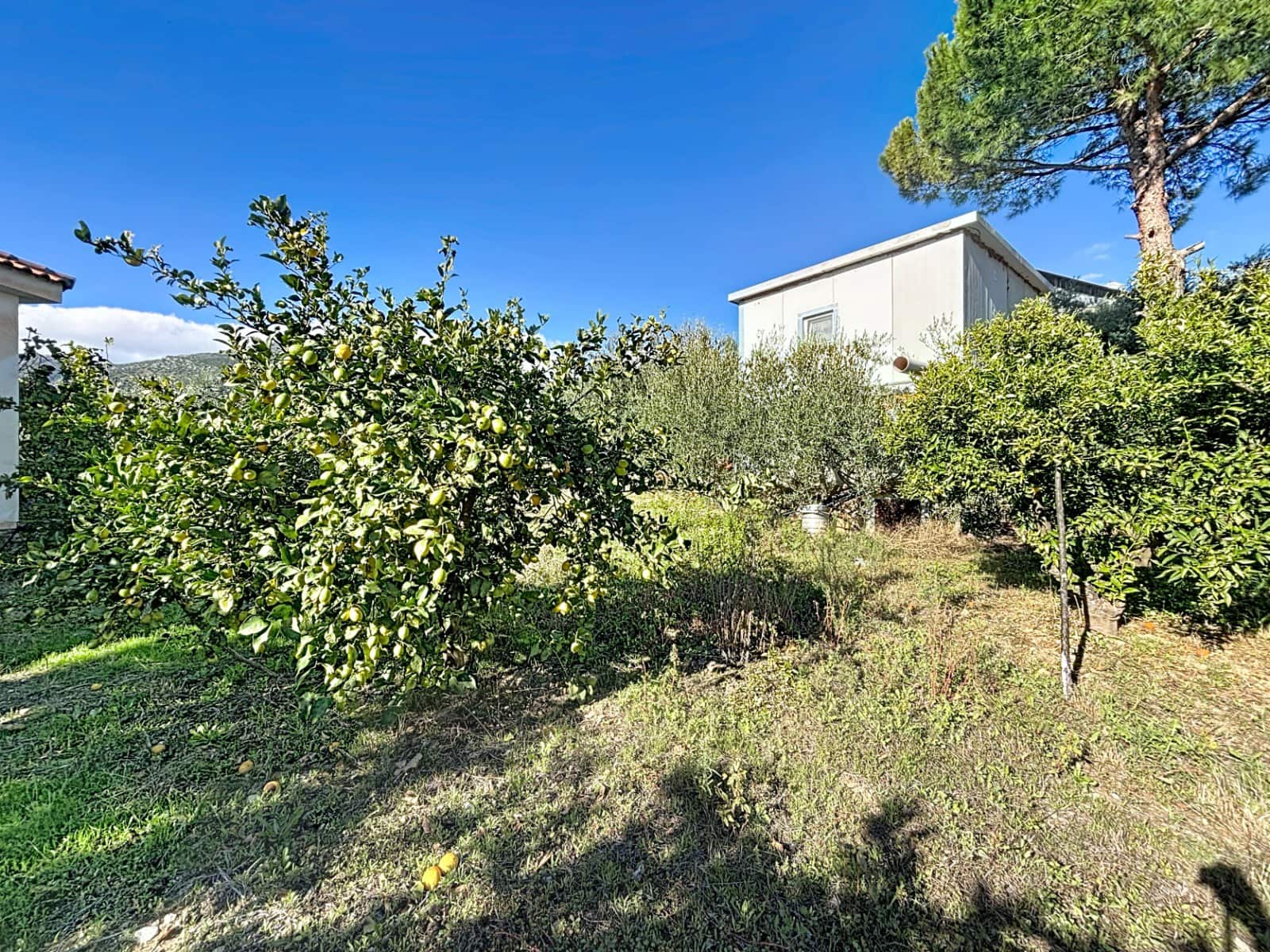 5 bedroom Finca/Country House for sale in Periana - € 650,000 (Ref: 9417361)