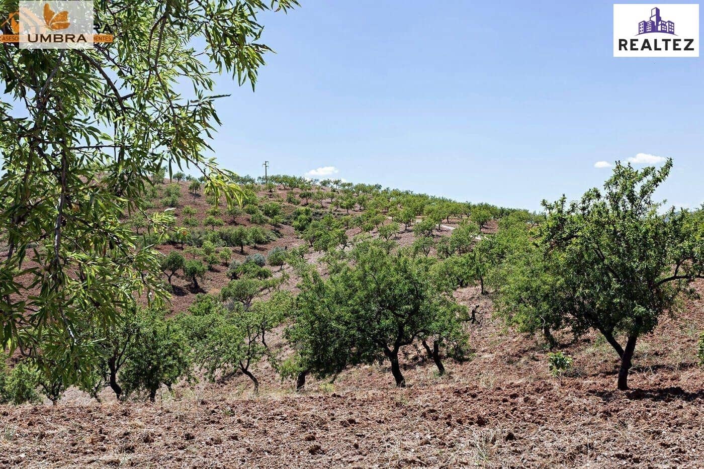 2 soveværelse Finca/Landehus til salg i Cadiar - € 235.000 (Ref: 9338667)