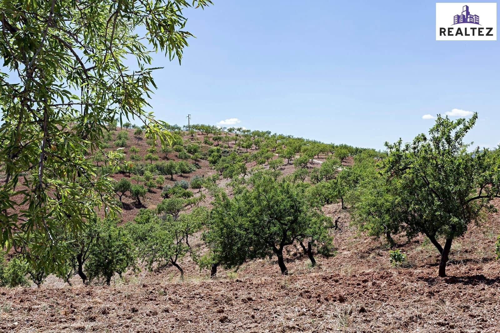 2 soveværelse Finca/Landehus til salg i Cadiar - € 235.000 (Ref: 9338667)