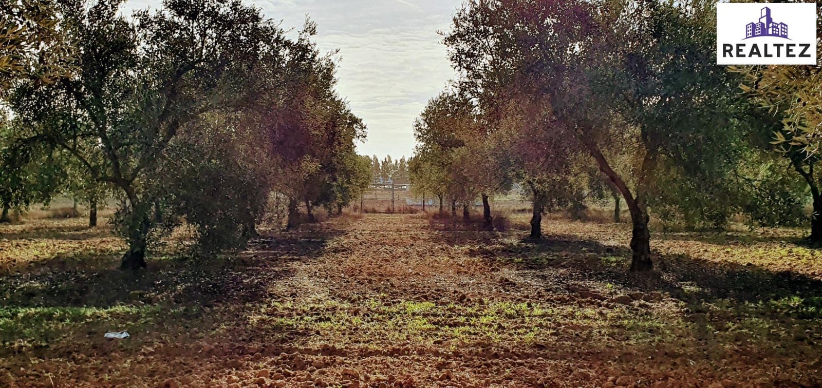 2 chambre Finca/Maison de Campagne à vendre à Lebrija - 219 900 € (Ref: 9338672)