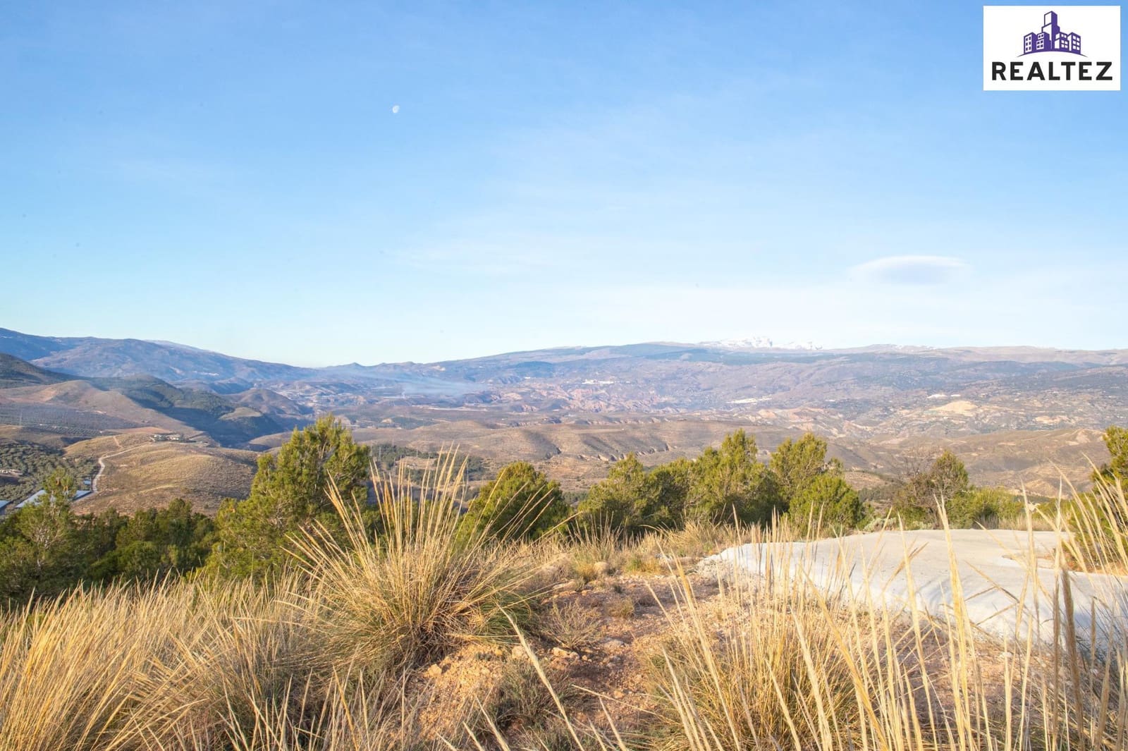 Teren niezagospodarowany na sprzedaż w Alcolea - 189 900 € (Ref: 9338674)