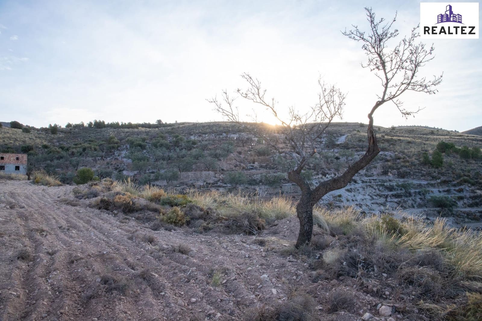 Teren niezagospodarowany na sprzedaż w Alcolea - 189 900 € (Ref: 9338674)