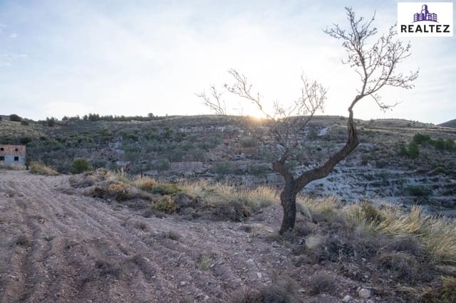 Undeveloped Land for sale in Alcolea - € 189,900 (Ref: 9338674)