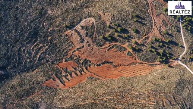 Undeveloped Land for sale in Alcolea - € 69,900 (Ref: 9338676)