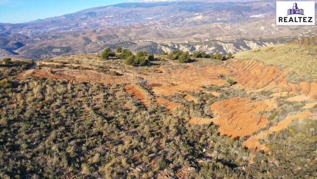 Undeveloped Land for sale in Alcolea - € 69,900 (Ref: 9338676)