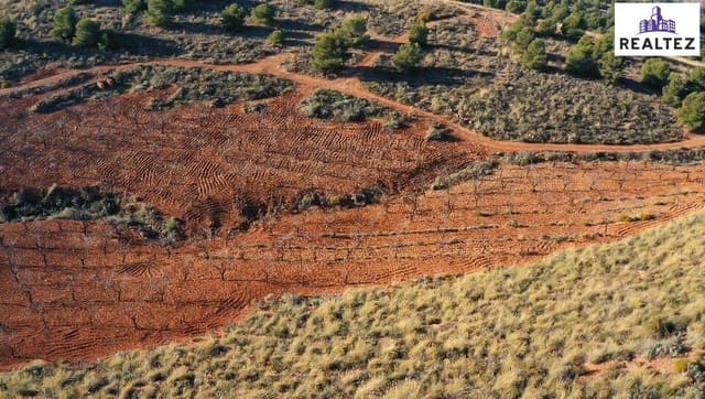 Undeveloped Land for sale in Alcolea - € 69,900 (Ref: 9338676)
