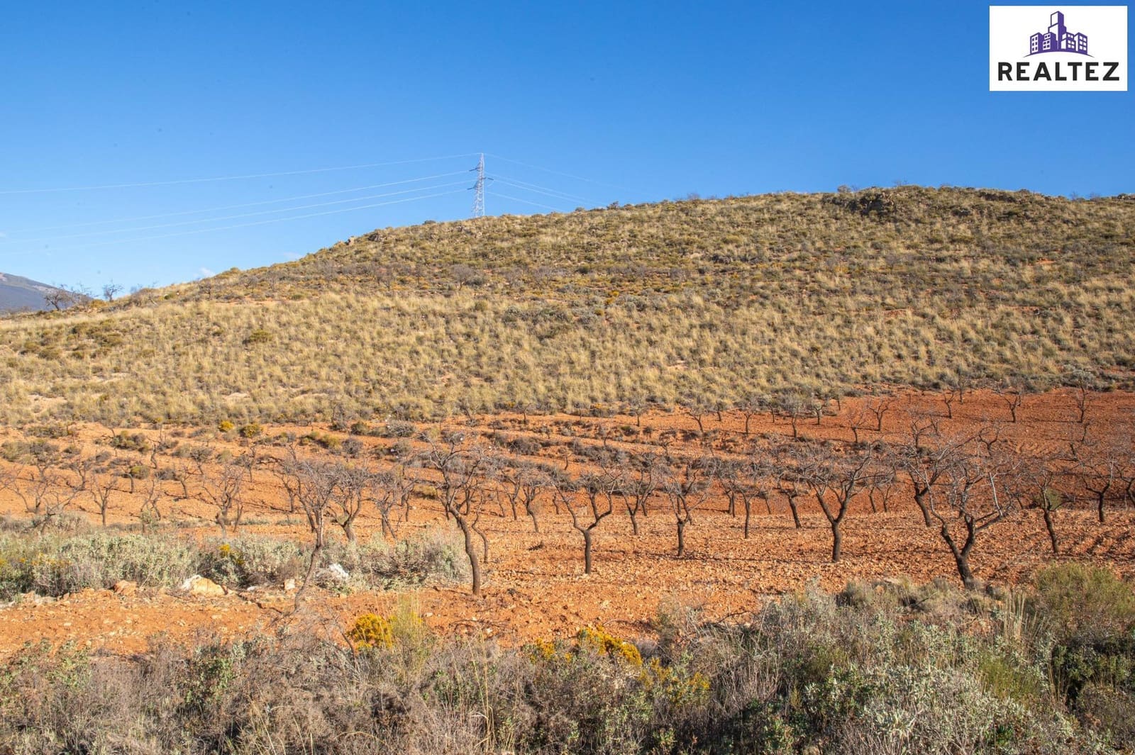 Teren niezagospodarowany na sprzedaż w Alcolea - 69 900 € (Ref: 9338676)