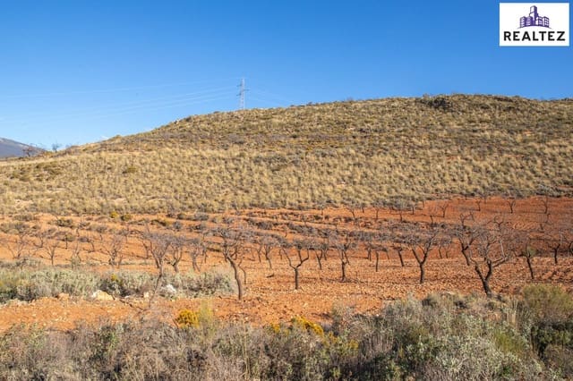 Undeveloped Land for sale in Alcolea - € 69,900 (Ref: 9338676)