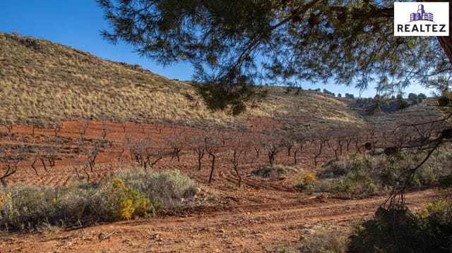 Undeveloped Land for sale in Alcolea - € 69,900 (Ref: 9338676)